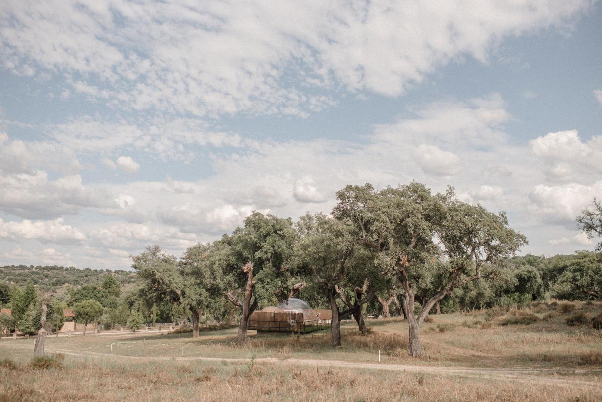 Finca El Cortinal วาเลนเซีย เด อัลคานทารา ภายนอก รูปภาพ