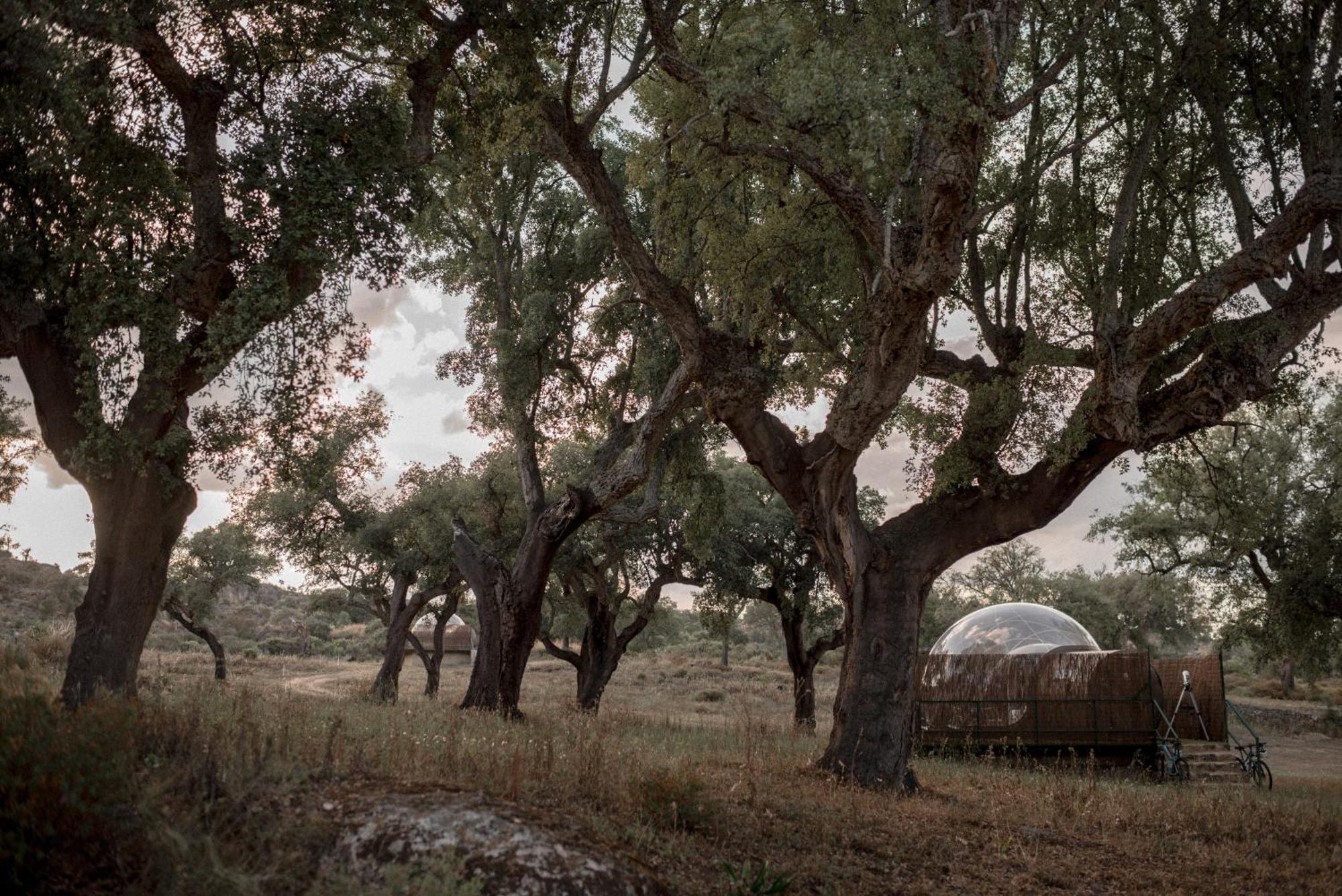 Finca El Cortinal วาเลนเซีย เด อัลคานทารา ภายนอก รูปภาพ